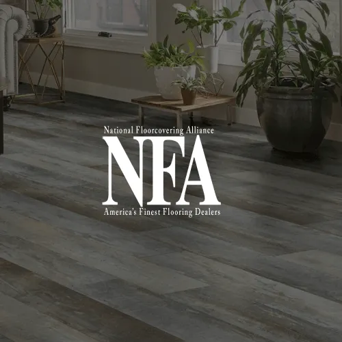 NFA-square NFA | Carpets of Dalton