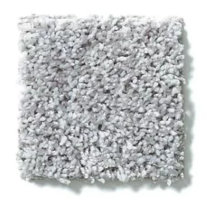 Twist Carpet | Carpets of Dalton