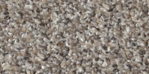 Textured Carpet | Carpets of Dalton