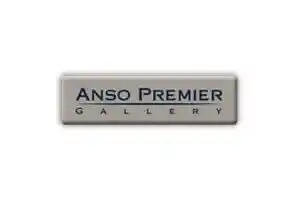 ansoPremier-1-300X200 Anso Premier logo