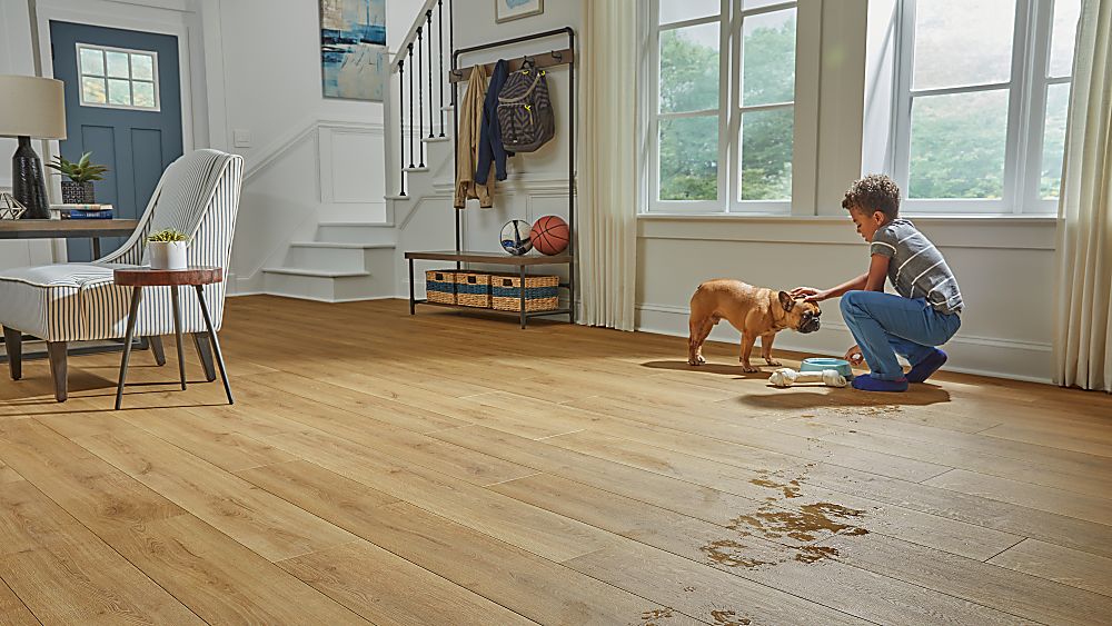 Laminate flooring in Dalton, GA from Carpets of Dalton