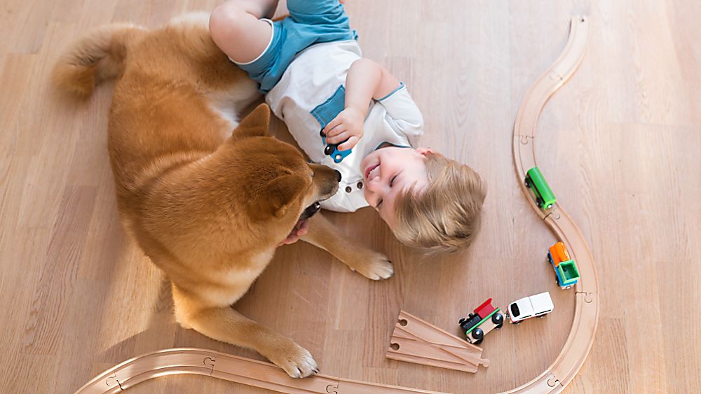 Scratch resistant flooring in in Dalton, GA from Carpets of Dalton