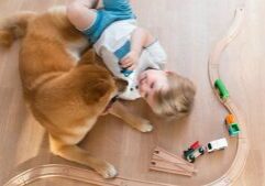 Scratch resistant flooring in in Dalton, GA from Carpets of Dalton