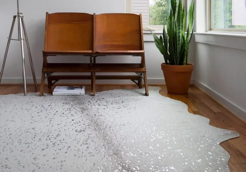 Area Rugs | Carpets of Dalton