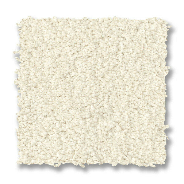 Plush/Cut Carpet Style