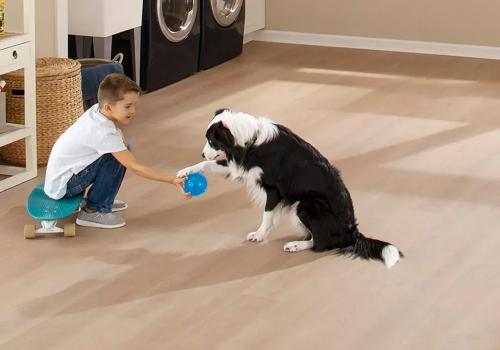 waterproof Waterproof laminate in laundry room with child and dog playing